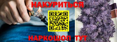 Альфа ПВП Обь