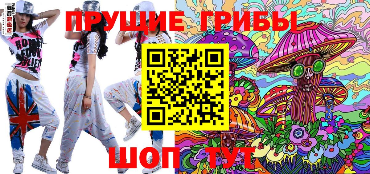 Галлюциногенные грибы Psilocybe Стрежевой