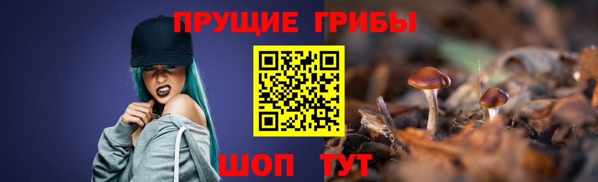 Стрежевой  Псилоцибиновые грибы Psilocybe  Вход с VPN 